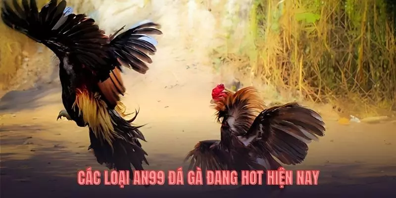 Các loại AN99 đá gà đang hot hiện nayCác loại AN99 đá gà đang hot hiện nay