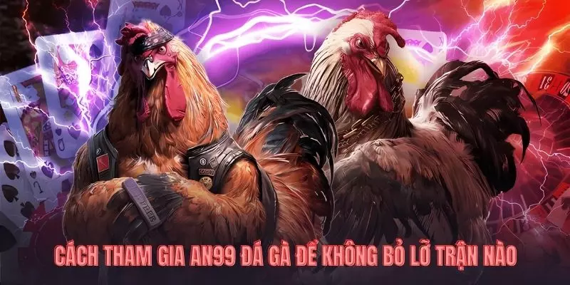 Cách tham gia AN99 đá gà để không bỏ lỡ trận nào