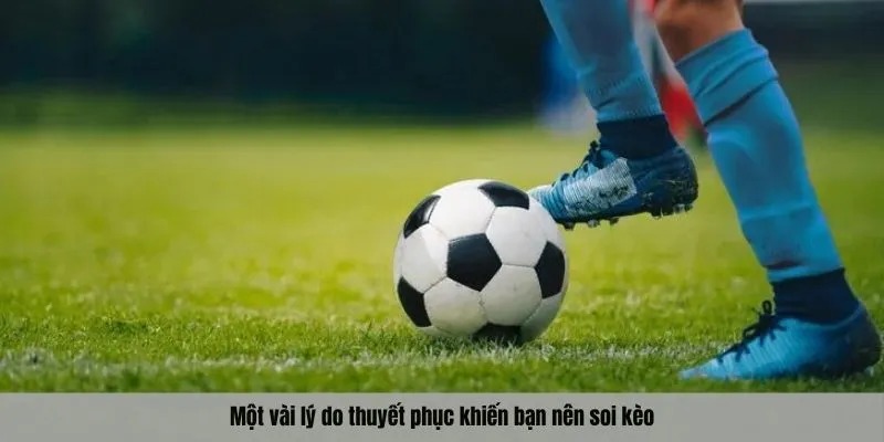 Một vài lý do thuyết phục khiến bạn nên soi kèo