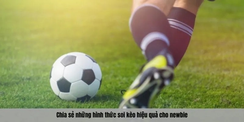 Chia sẻ những hình thức soi kèo hiệu quả cho newbie